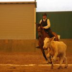 Rinderarbeit WS 25.-27. Mai 2018