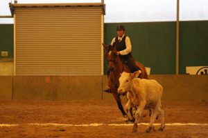 Rinderarbeit WS 25.-27. Mai 2018