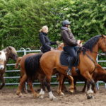 Rintertraining