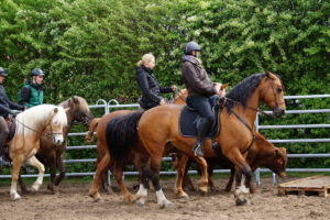 Rintertraining