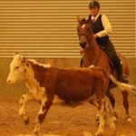 Rinderarbeit WS 25.-27. Mai 2018
