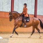 Dressur-NDS-Cup-2017-WMWorkinkg Equitation M 2017