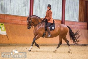 Dressur-NDS-Cup-2017-WMWorkinkg Equitation M 2017