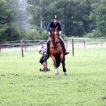 Horseboarding