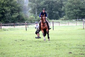 Horseboarding