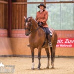Dressur-NDS-Cup-2017-WM
