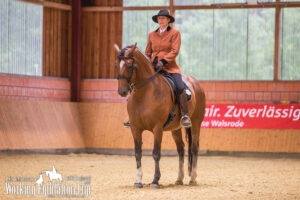 Dressur-NDS-Cup-2017-WM