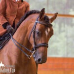 Dressur NDS-Cup-2017-WM