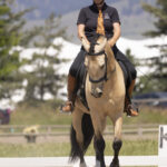 USA-Dressage-L4-Working-lEquitation