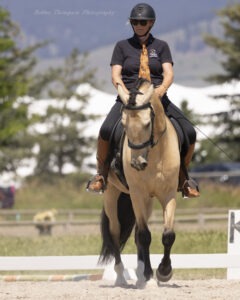 USA-Dressage-L4-Working-lEquitation