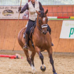 Ring-Stil-NDS-Cup-2017-WM