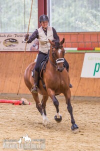 Ring-Stil-NDS-Cup-2017-WM