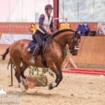 NDS-Cup-2017-WM