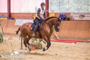 NDS-Cup-2017-WM